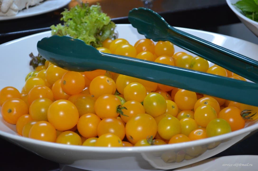 Главный ресторан Hotel Delphin Imperial