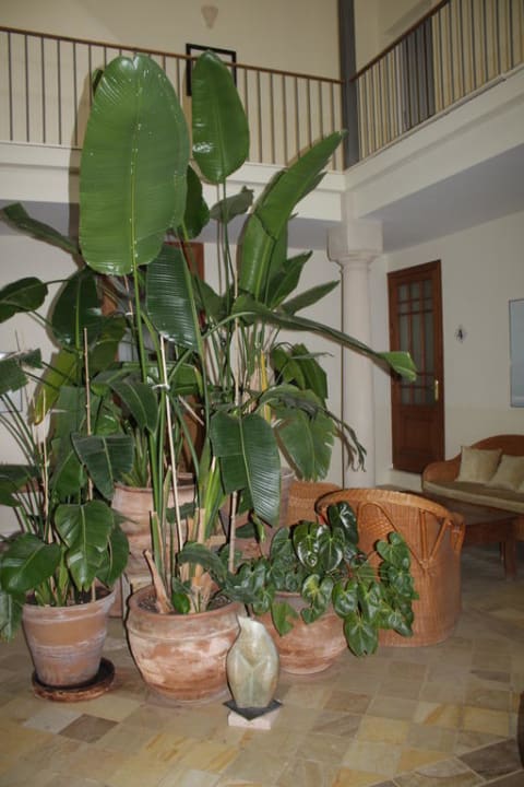 Eingangsbereich zu den Zimmern Hotel La Fuente De La Higuera