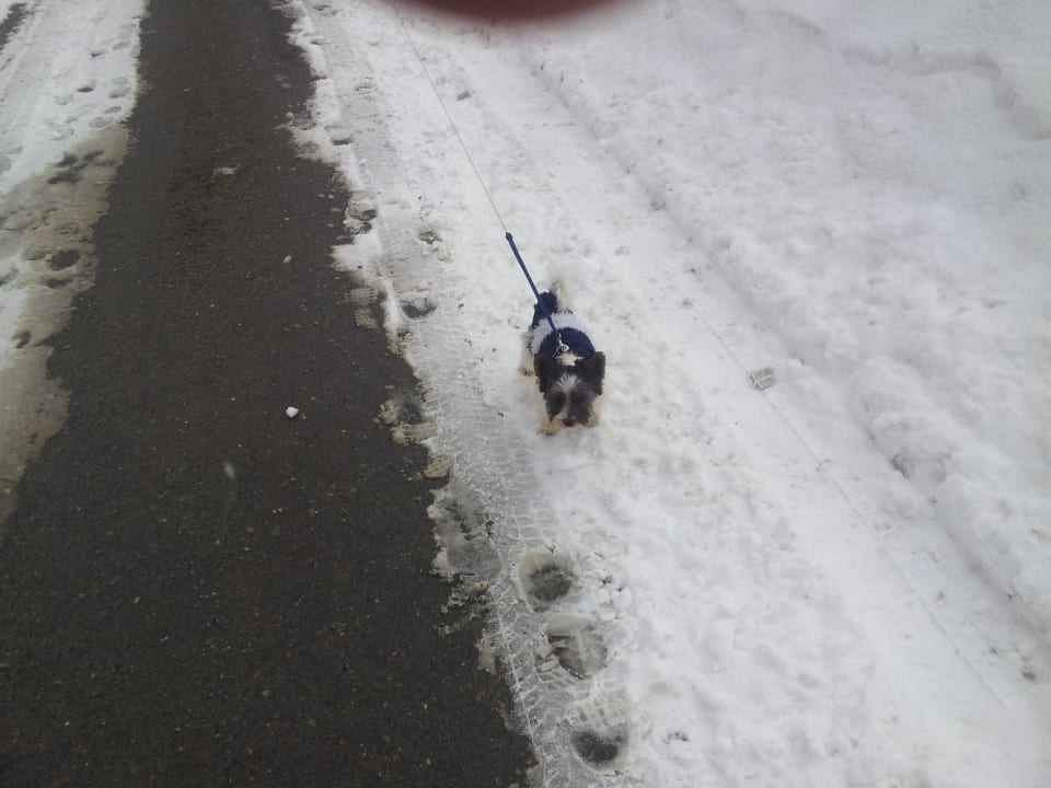 Peternhof im Winter  Wohlfühlresort Peternhof