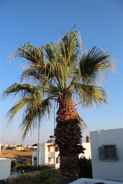 Ausblick Zimmer 413 Hotel Angela Studios & Apartments