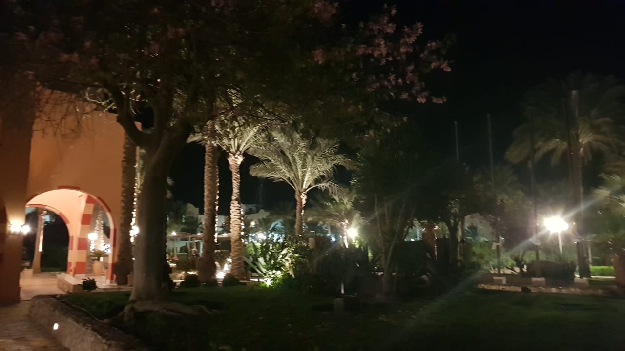 Gartenanlage Jaz Makadi Oasis Resort