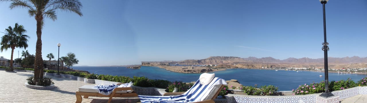 Blick vom Relax-Pool Albatros Sharm Resort