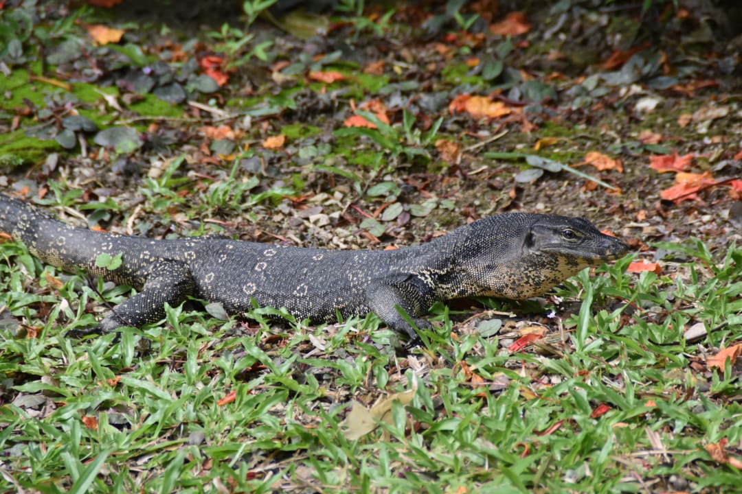 Sonstiges Hotel Pimalai Resort & Spa