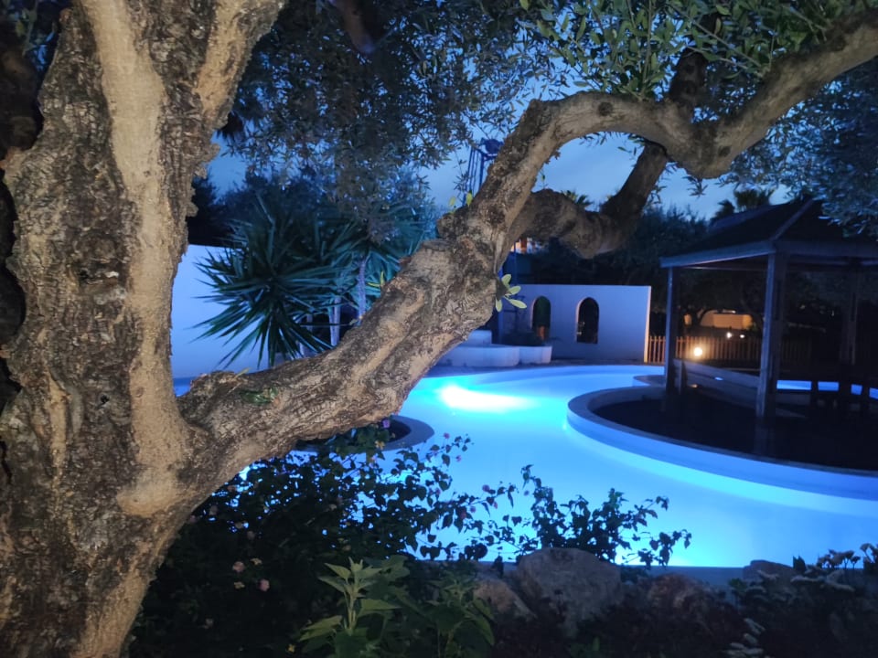 Pool TUI KIDS CLUB Alex Beach