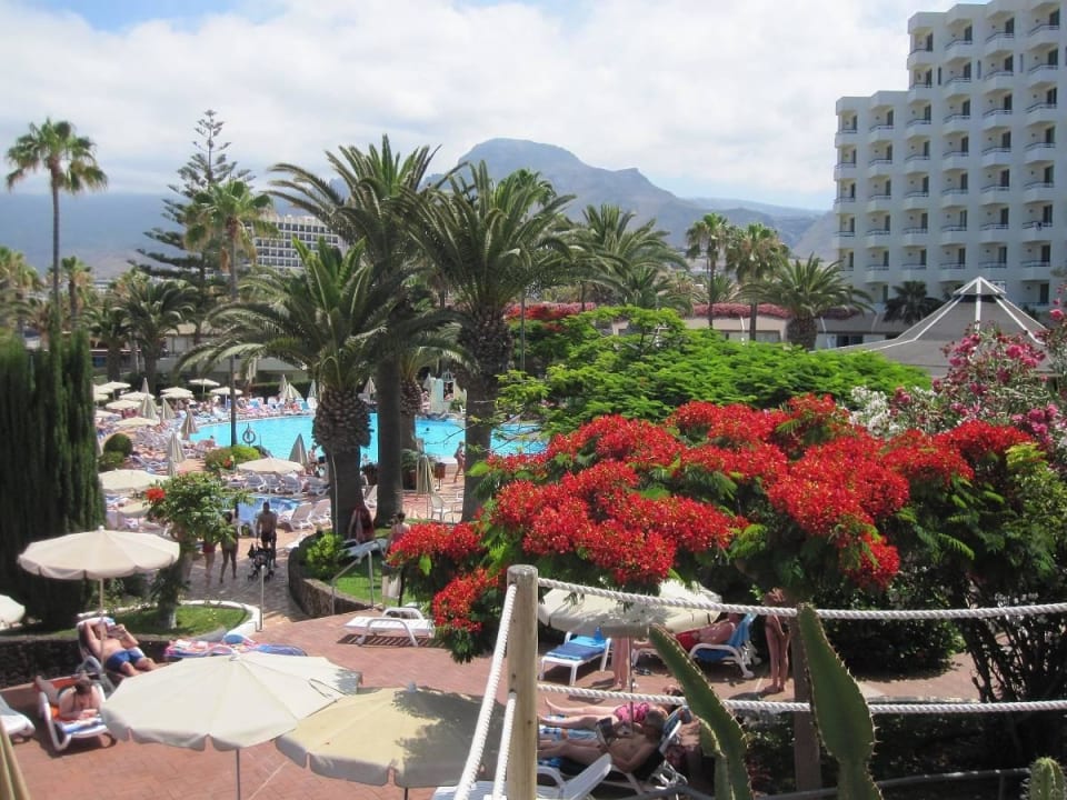 Gartenanlage mit vielen exotischen Pflanzen H10 Las Palmeras