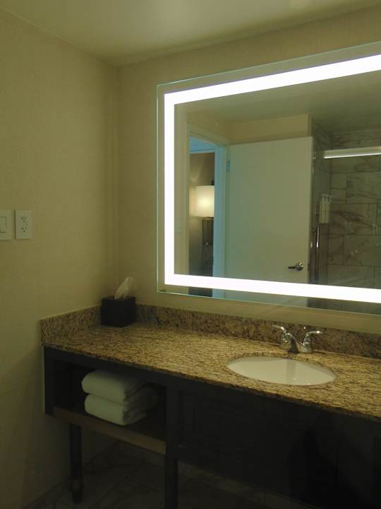 Zimmer Embassy Suites Hotel Atlanta-Buckhead