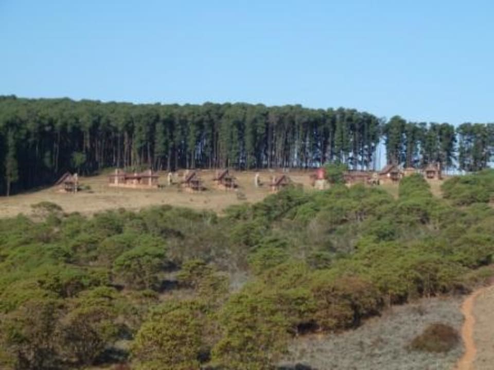 Chelinda Lodge Chelinda Lodge