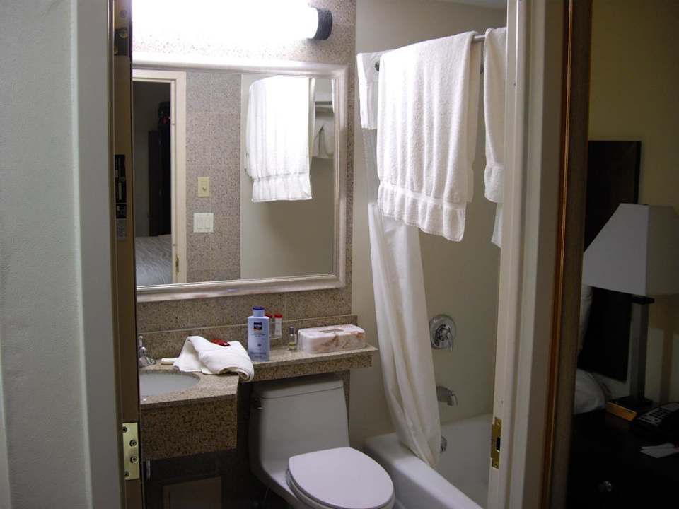 Bad Ramada Hotel Long Island City