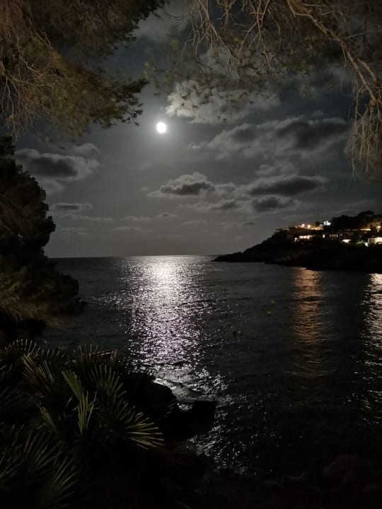 Ausblick Iberostar Waves Pinos Park