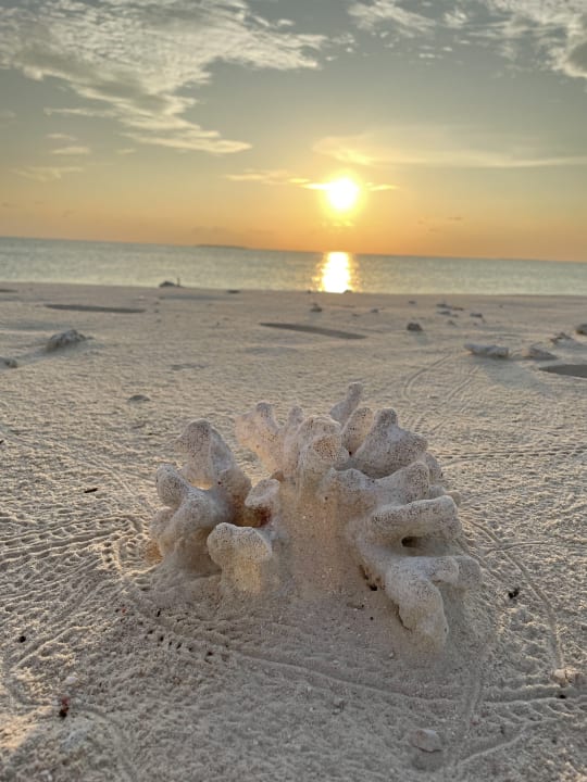 Strand Hondaafushi Island Resort