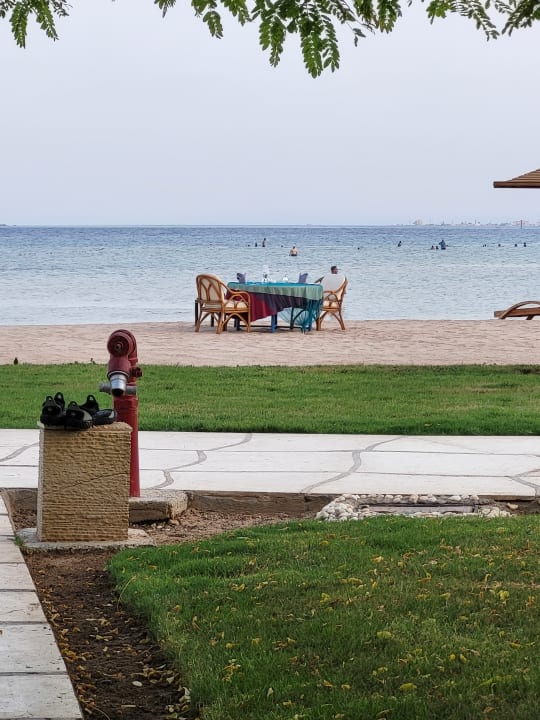 Gastro Shams Prestige Abu Soma-Adults Only