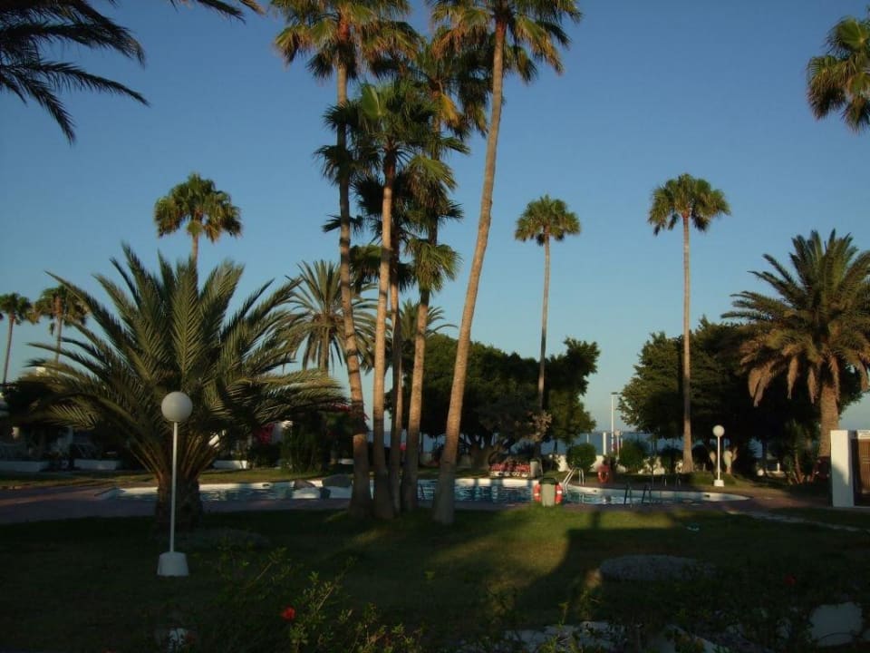 Pool mit Garten Sahara Beach Club