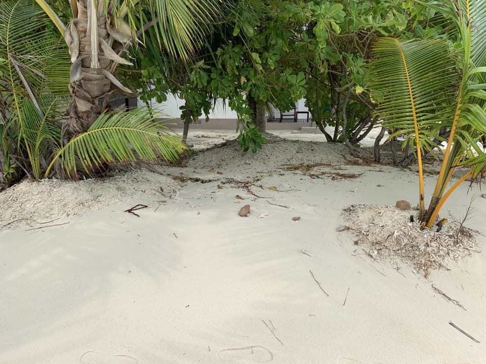 Strand Adaaran Select Meedhupparu Island Resort - Premium All Inclusive