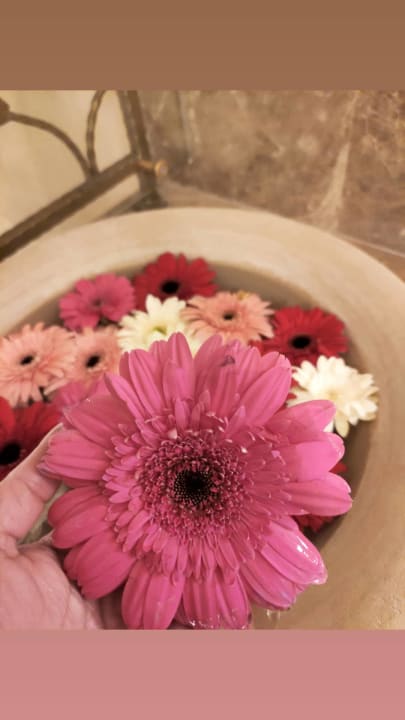 Sonstiges Spice Hotel & Spa