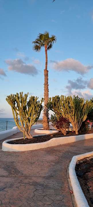 Gartenanlage Aldiana Club Fuerteventura