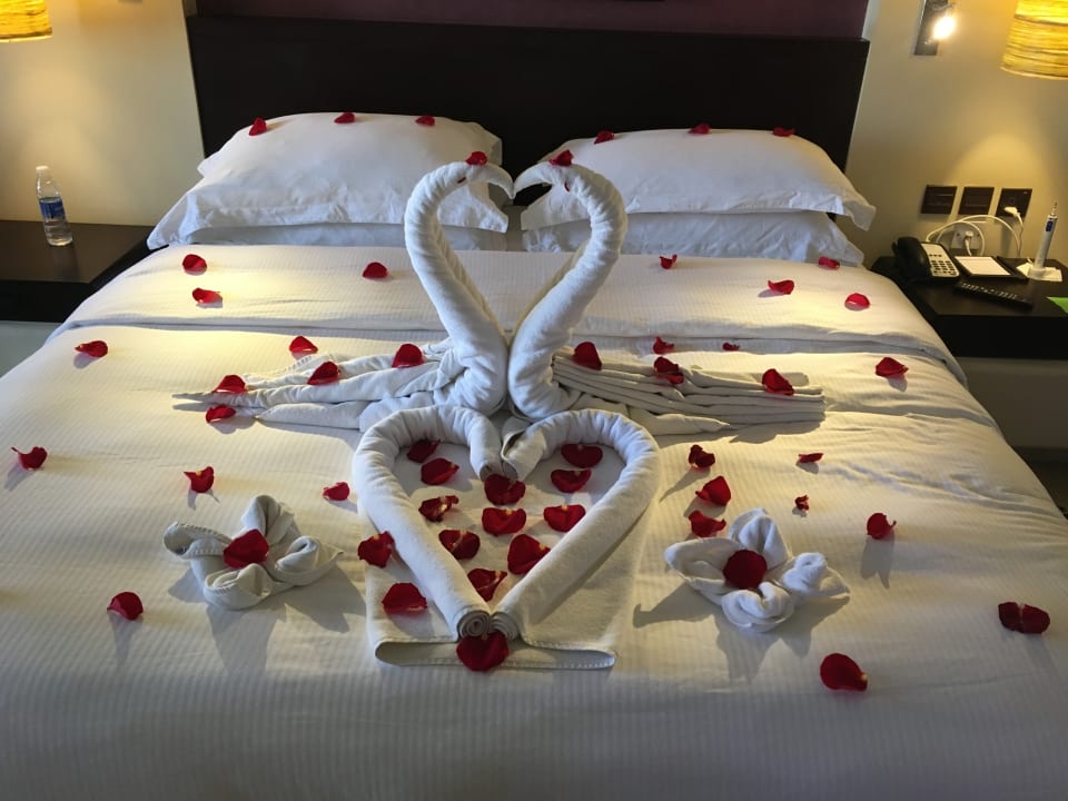 Zimmer Salalah Rotana Resort