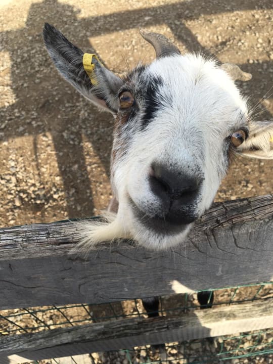 Sonstiges Wiesenberghof