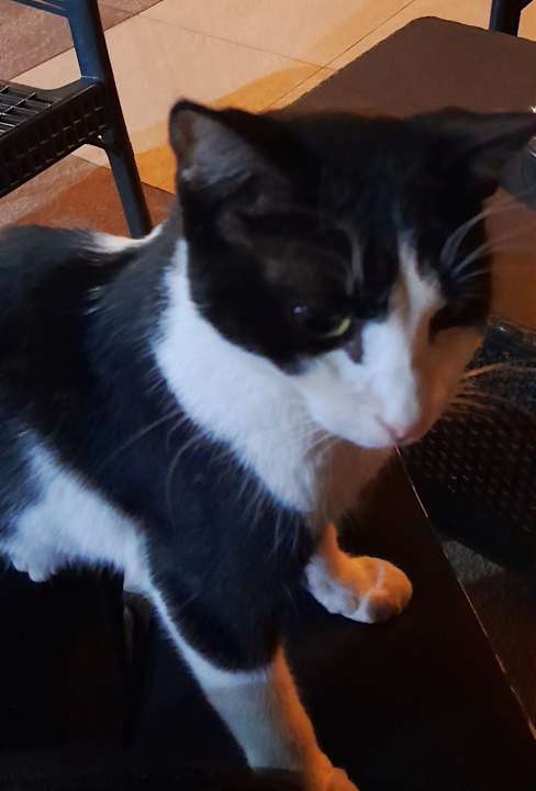 Sonstiges Hotel Sun & Sea