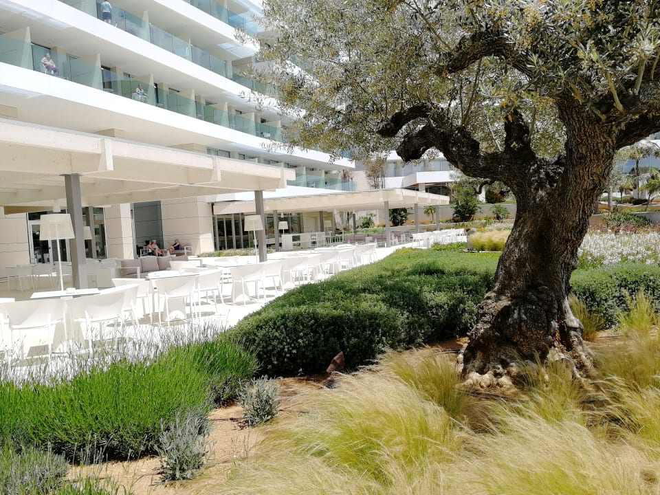 Außenansicht Hipotels Gran Playa De Palma