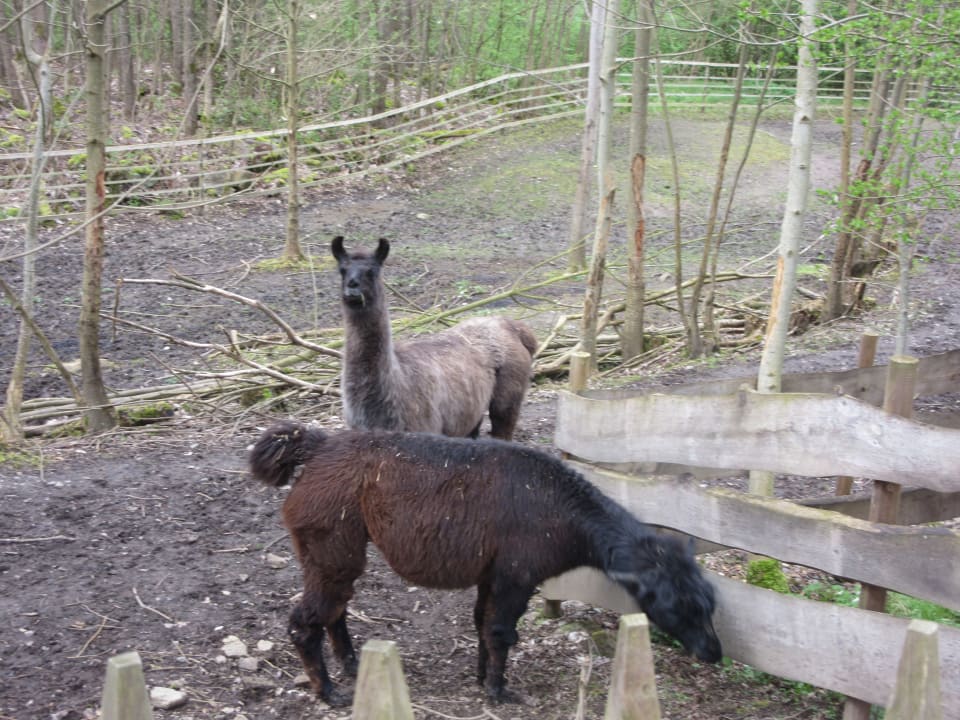 Sport & Freizeit Landschloss Ernestgrün