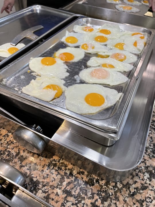 Gastro Irene Palace Beach Resort