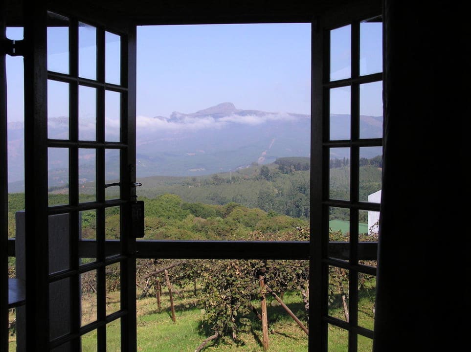 Blick aus dem Zimmer Hotel Coach House