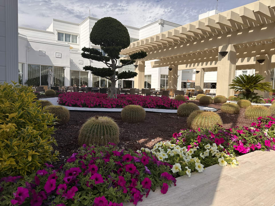 Gartenanlage Monachus Family Resort Sorgun