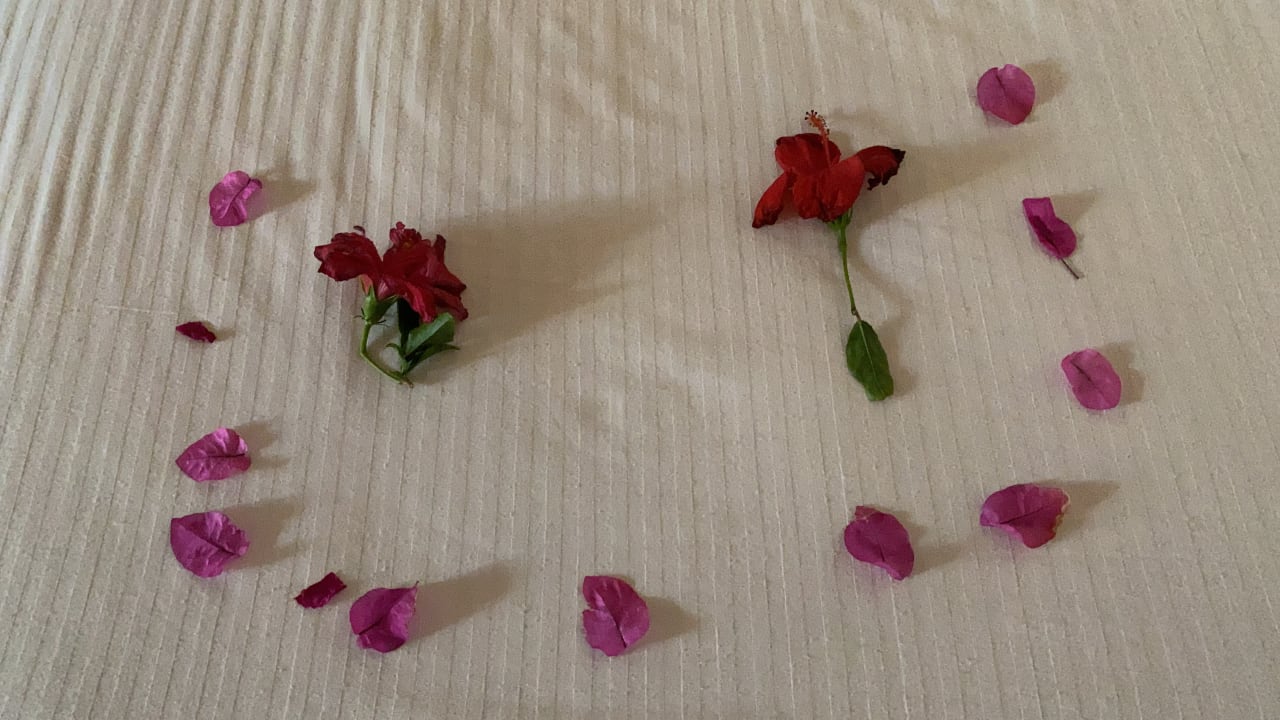 Zimmer Three Corners Sea Beach Resort