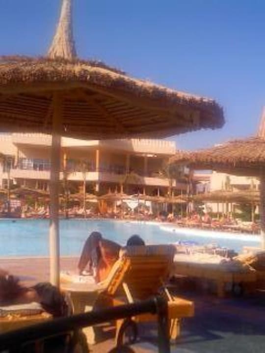 Dez 09 Pickalbatros Royal Moderna Resort-Sharm El Sheikh