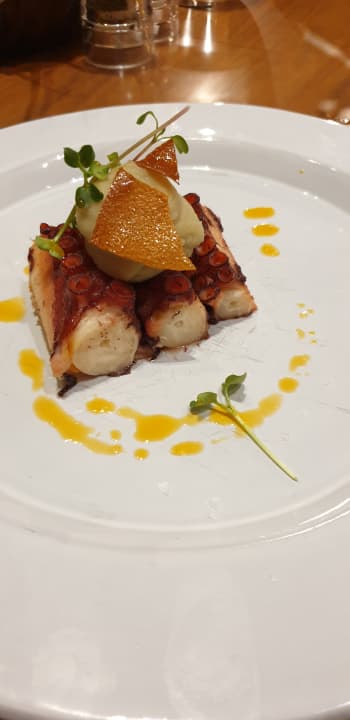 Gastro Acanthus Cennet Barut Collection