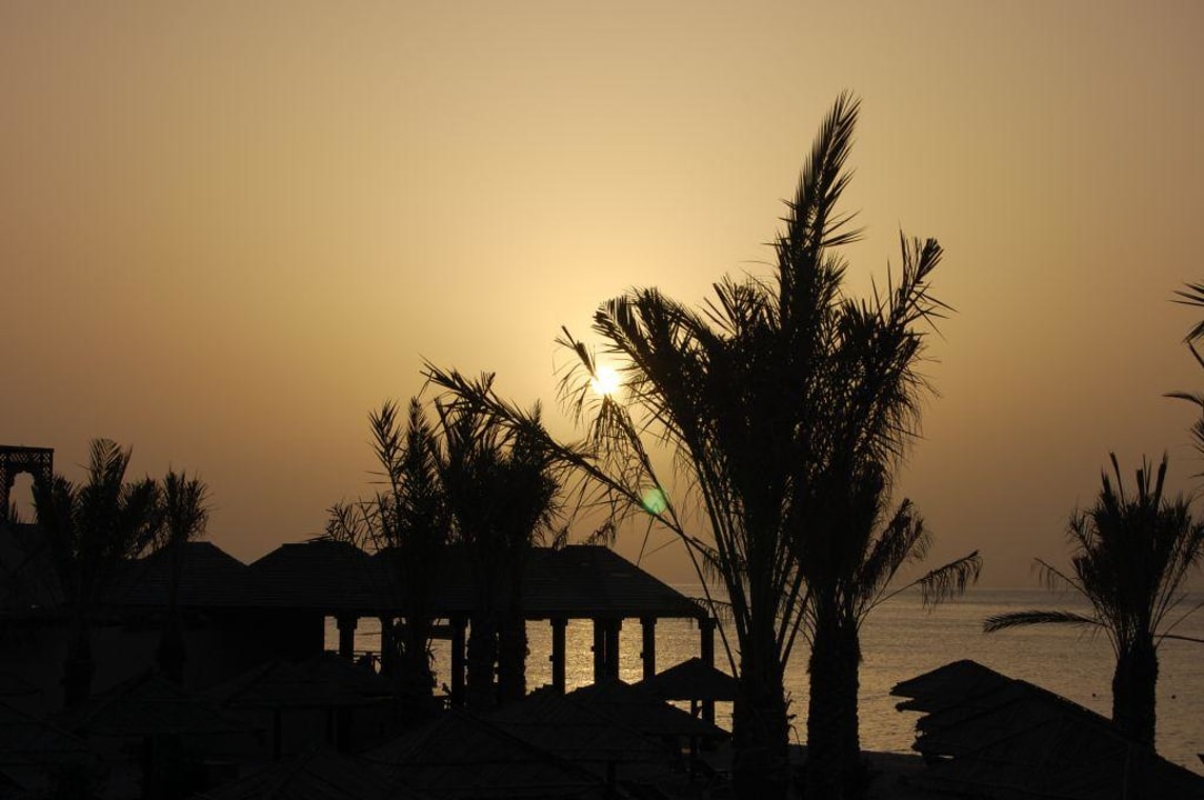 Sonnenaufgang Miramar Al Aqah Beach Resort