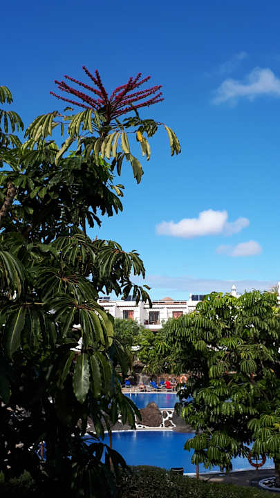 Gartenanlage allsun App.-Hotel Albatros