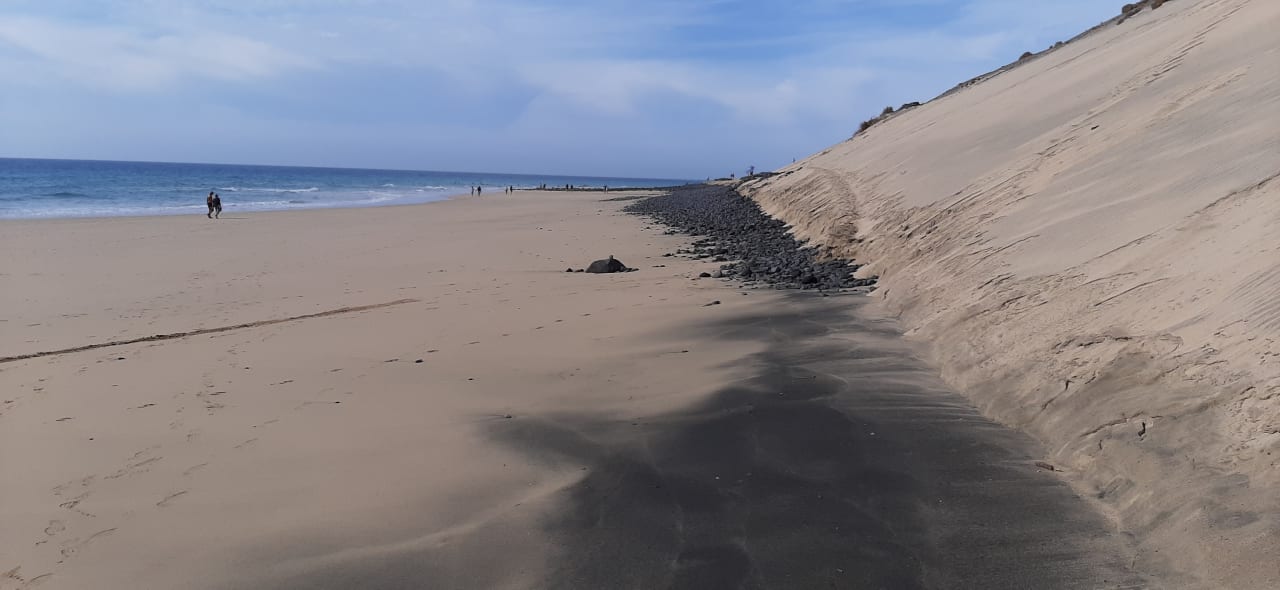 Strand Marina Playa Suite Hotel