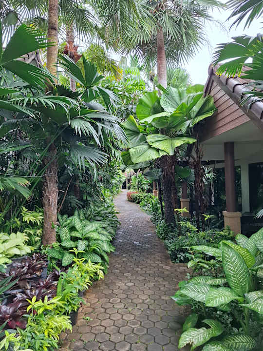 Gartenanlage Laluna Hotel & Resort