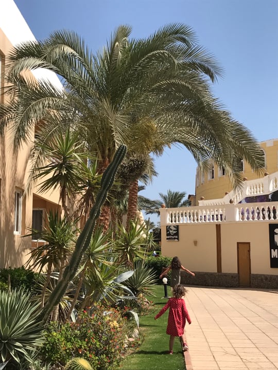 Gartenanlage Golden Beach Resort