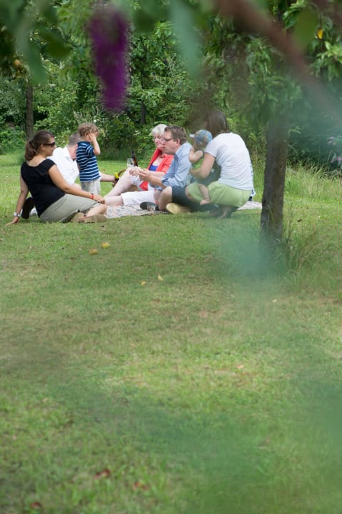Picknick im Grünen  Parkhotel Tillmanns