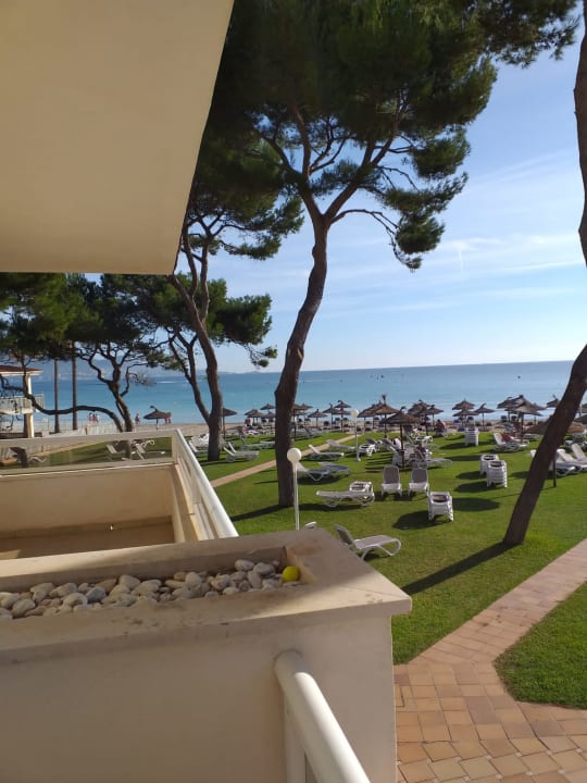 Ausblick Grupotel Los Principes & Spa