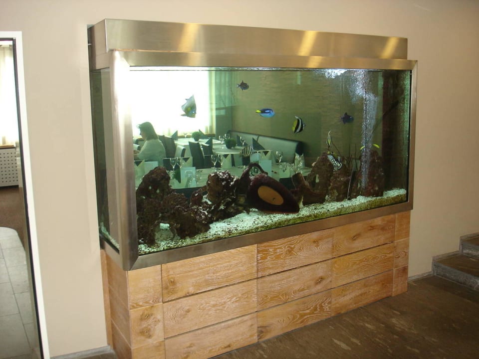 Grosses Aquarium in der Lobby Hotel Drei Könige