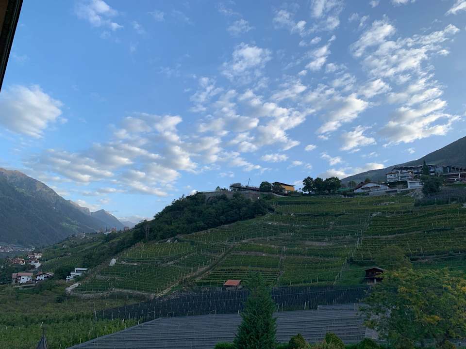 Ausblick Hotel Burggräflerhof