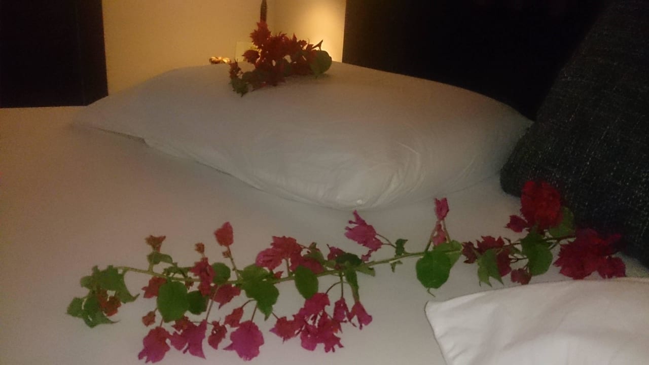 Room-boy 1A! Embudu Village