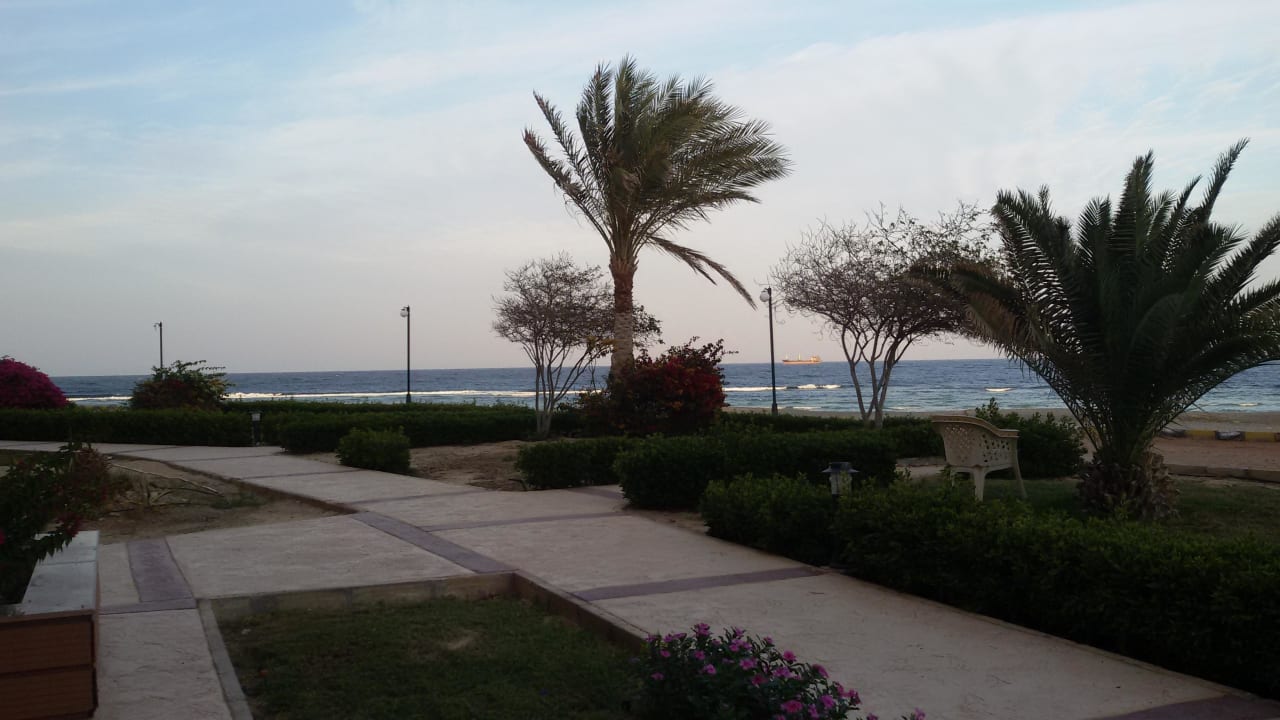 Aussicht von Zimmer Malikia Resort Abu Dabbab