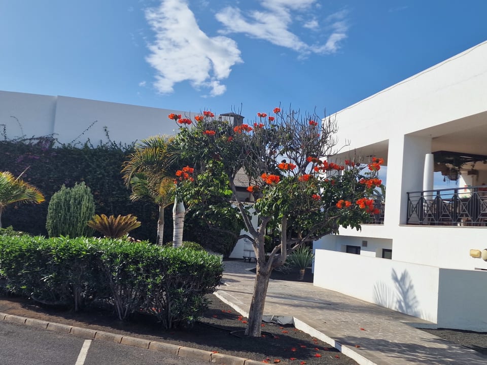 Außenansicht allsun App.-Hotel Albatros