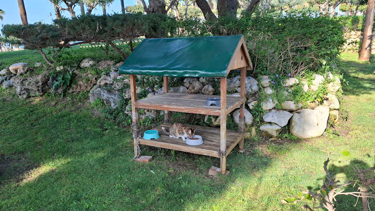 Gartenanlage Hotel Defne Garden