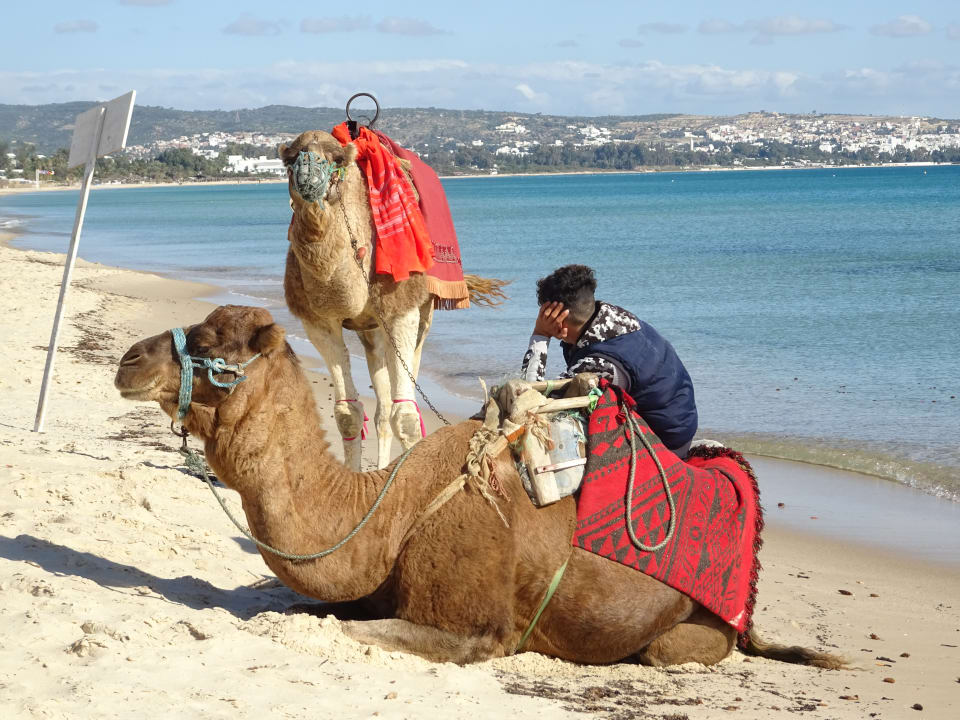 Strand Hotel Nesrine