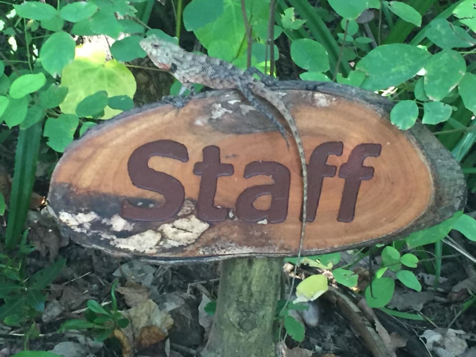 "Staff " NH Collection Maldives Reethi Resort