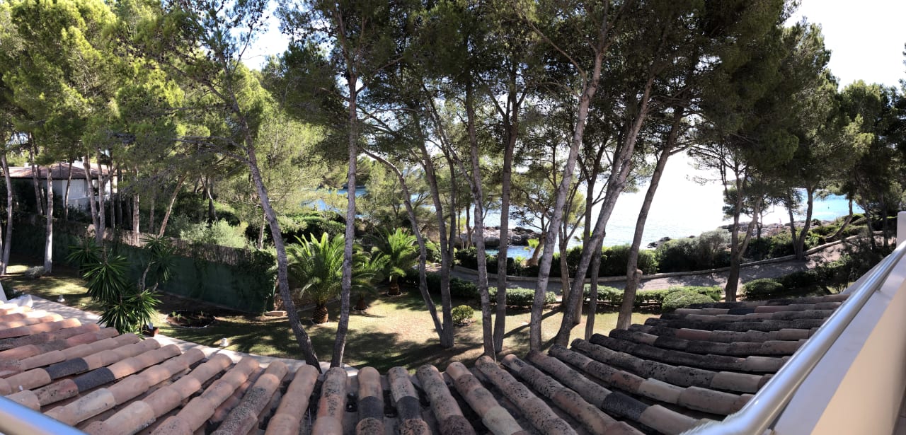 Gartenanlage Iberostar Waves Pinos Park