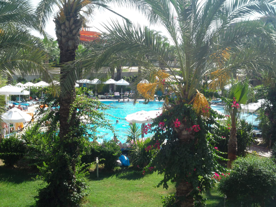 Pool Hauptgebäude Calimera Hane Garden