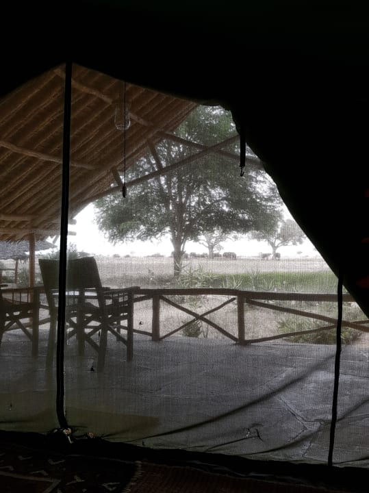 Wie erwartet  Satao Camp