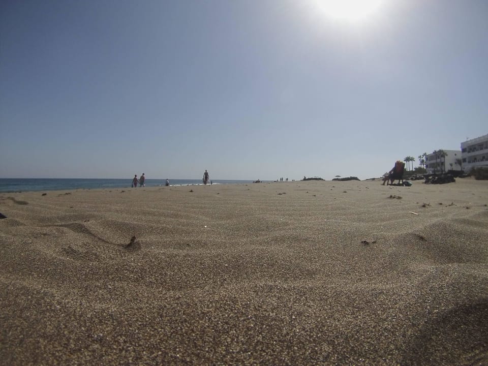 Strand Hotel Hyde Park Lane