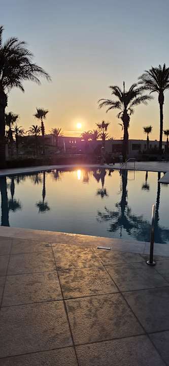 Gartenanlage Hotel Horizon Beach Resort